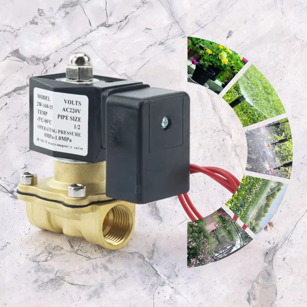 Électrovanne intelligente AC22 - Smart Garden Instructions avis et prix