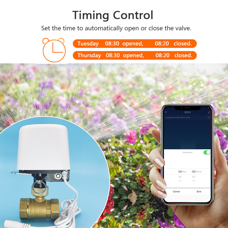 Vanne d'eau intelligente Tuya  - Smart Garden Tap Timer avis et prix