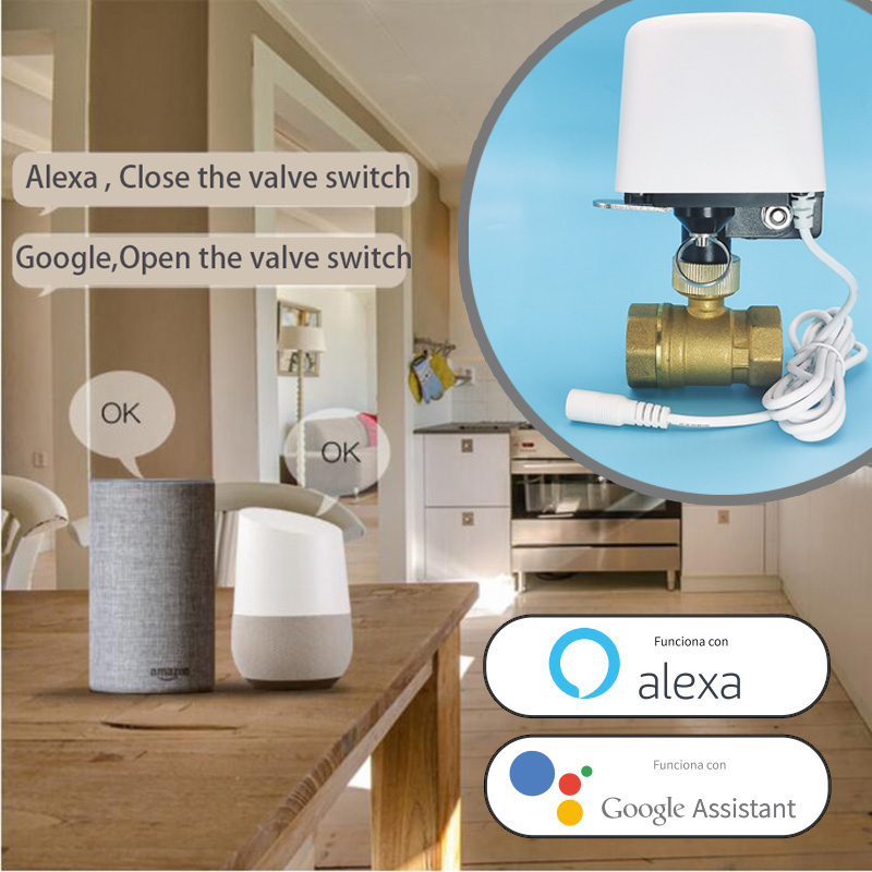 Minuteur d'arrosage intelligen - Smart Garden Tap Timer avis et prix