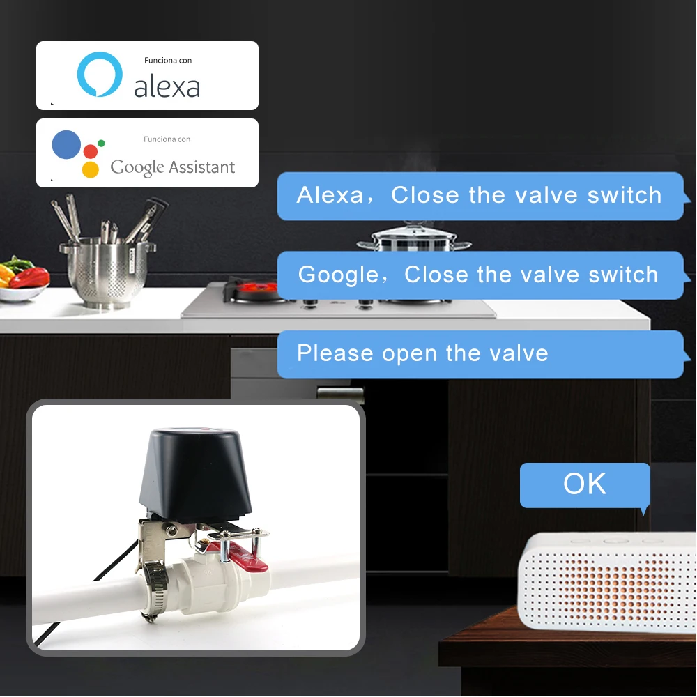 Robinet de gaz intelligent Tuy - Smart Garden Instructions avis et prix
