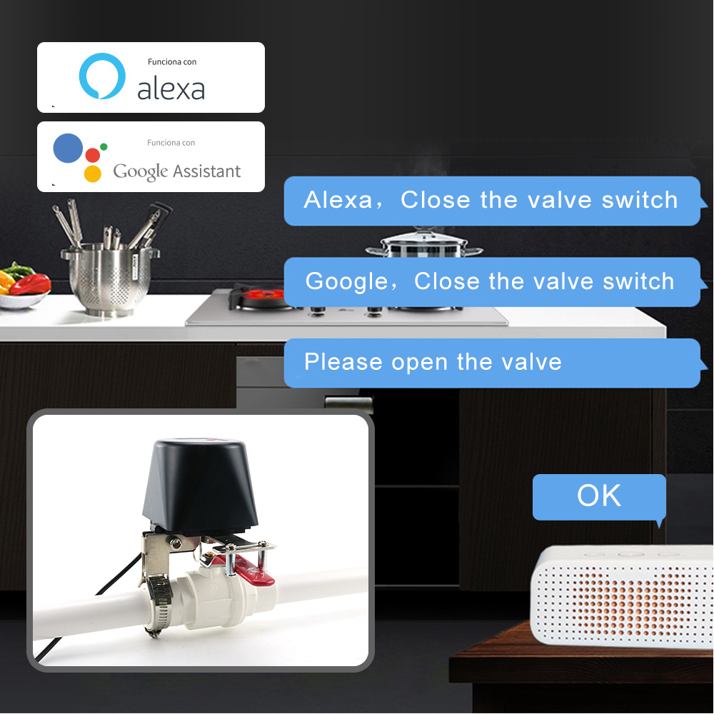 Vanne d'eau WiFi, vanne d'arrê - Smart Garden Instructions avis et prix